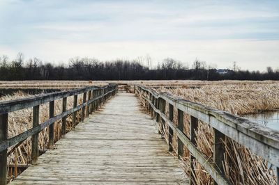 Narrow footbridge along plants and trees against sky