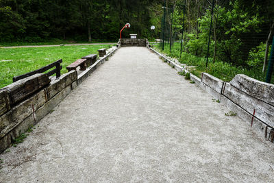 Road amidst trees at park