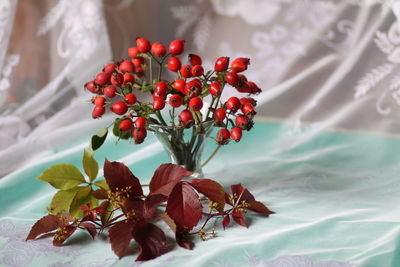 High angle view of red berries on bed
