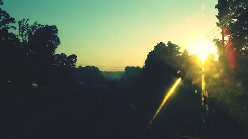 Sun shining through trees