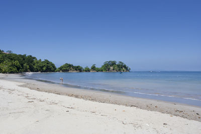 Scenic view of beach against clear blue sky