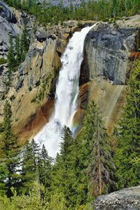 Scenic view of waterfall in forest