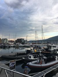 Sailboats moored at harbor