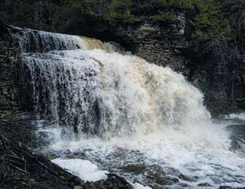 Scenic view of waterfall in forest