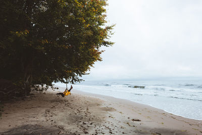 Scenic view of beach with swing on tree against sky