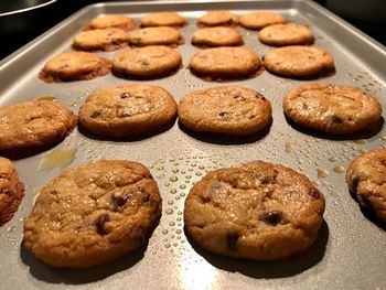 Close-up of cookies in plate