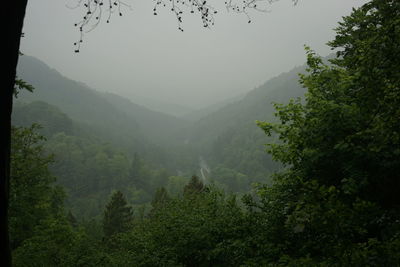 Scenic view of trees and mountains against sky