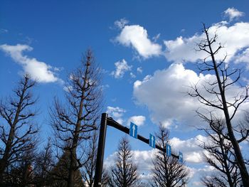 Low angle view of trees against blue sky