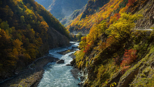 Scenic view of waterfall in forest