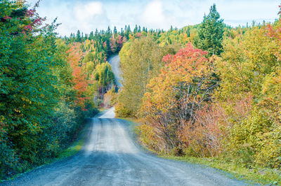 Road amidst trees against sky during autumn