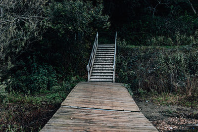 View of footbridge in forest