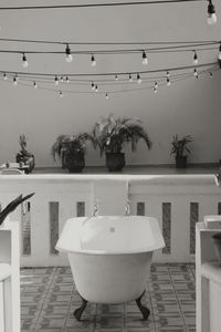 Potted plants on table by swimming pool