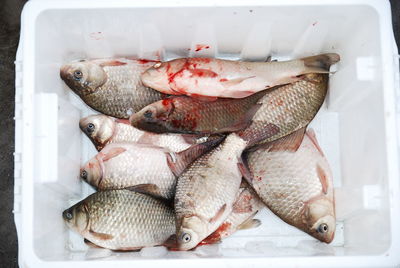 High angle view of fish for sale in market