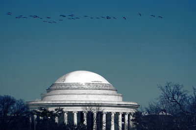 Birds flying over jefferson memorial