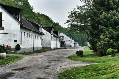 Narrow road leading to house