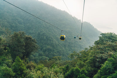 Overhead cable cars in forest against sky