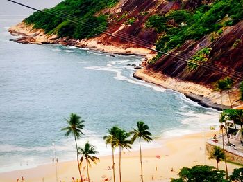 High angle view of palm trees on beach