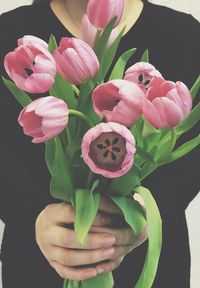 Close-up of hand holding pink flowering plant