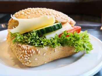 Close-up of food on plate