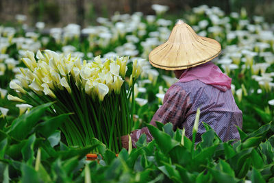 Rear view of farmer harvesting flowers at farm