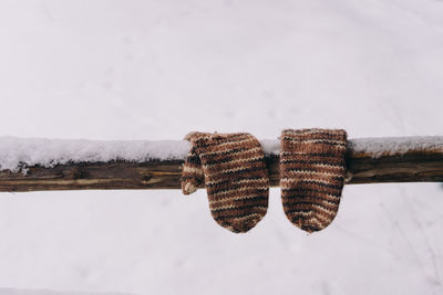 Gloves hanging on a wooden fence