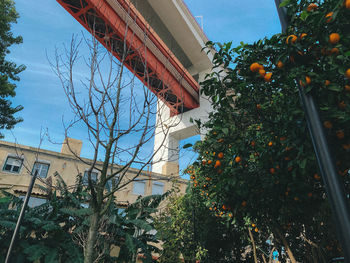 Low angle view of building