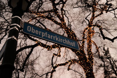 Low angle view of sign on bare tree