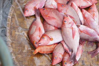 High angle view of fish for sale in market