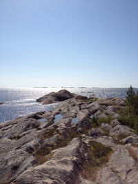 Scenic view of sea against clear sky