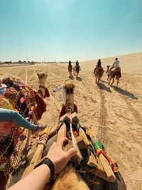 Camel ride in the desert 