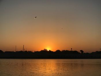 Silhouette birds on shore against sky during sunset