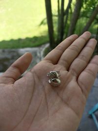 Close-up of hand holding plant