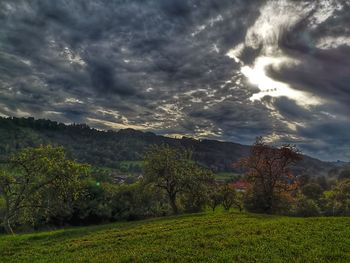 Scenic view of trees on field against sky