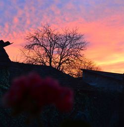Silhouette tree against sky during sunset