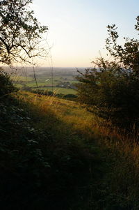 Scenic view of field against sky during sunset