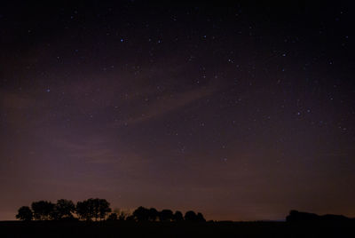 Low angle view of tree against star field