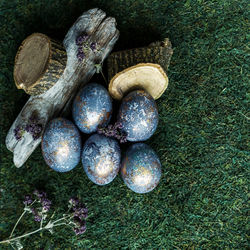 High angle view of shells on field