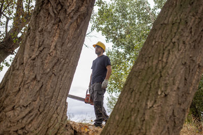 Low angle view of man holding chainsaw standing by tree trunk