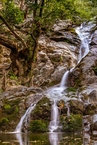 Scenic view of waterfall in forest