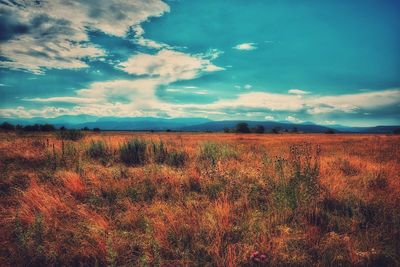 Scenic view of field against cloudy sky