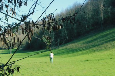 Man standing on field against sky