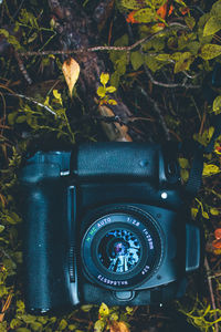 Close-up of old camera on tree