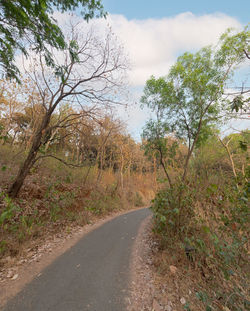 Road amidst trees against sky