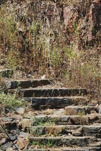 Close-up of stone wall