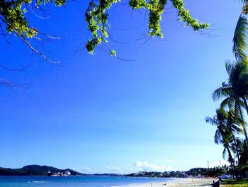 Scenic view of sea against blue sky