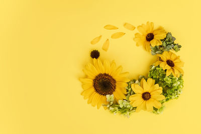 Close-up of sunflower against yellow background