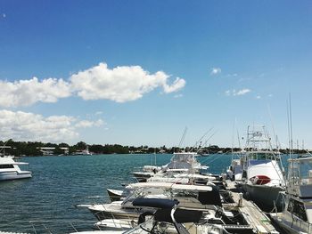 Sailboats moored on harbor against sky