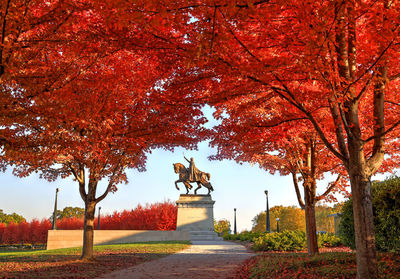 Statue in park during autumn