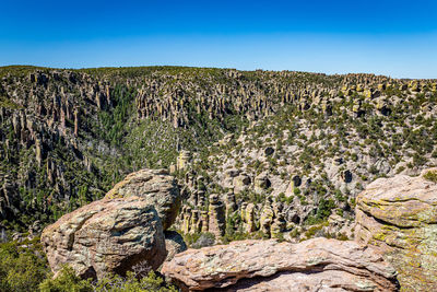 Plants growing on rock against sky