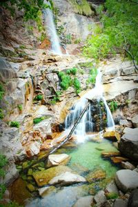 Scenic view of waterfall in forest